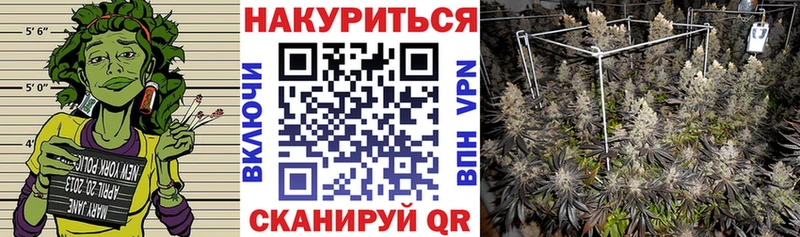 Марихуана гибрид  Харабали 